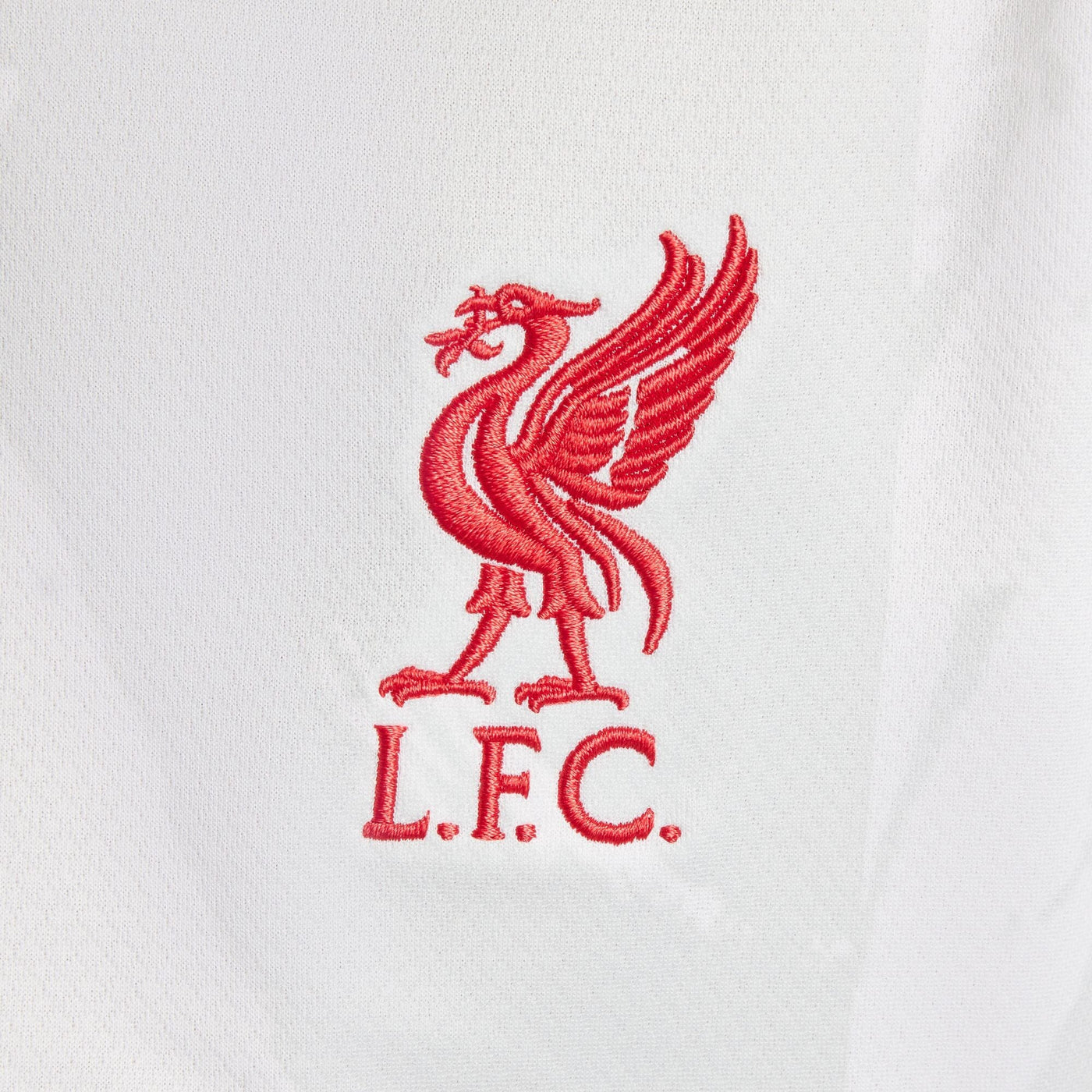 Liverpool FC Kids 3rd Jersey 2024/25