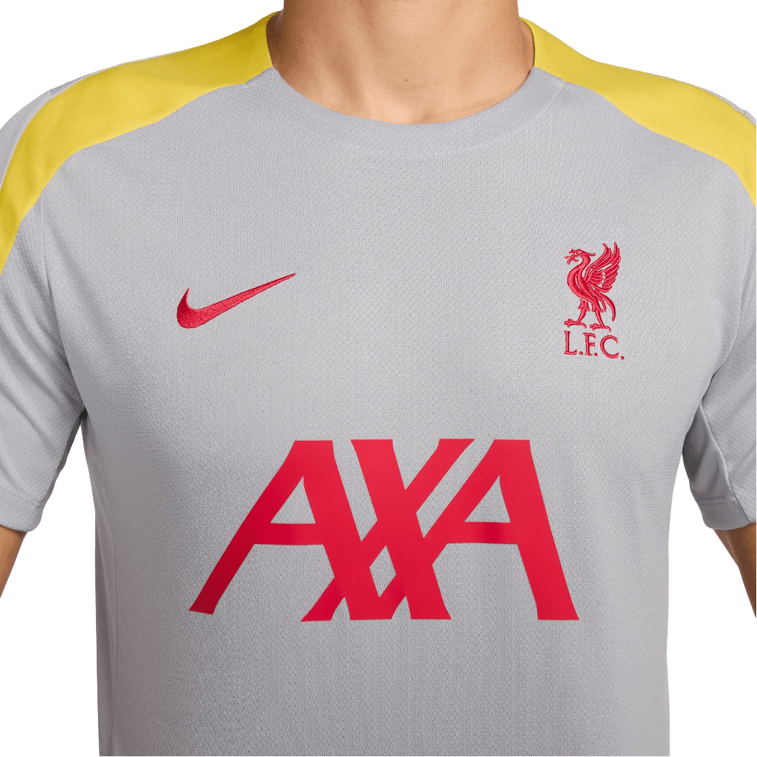 Liverpool FC Adults Dri-Fit Striker SS Tee 2024/25