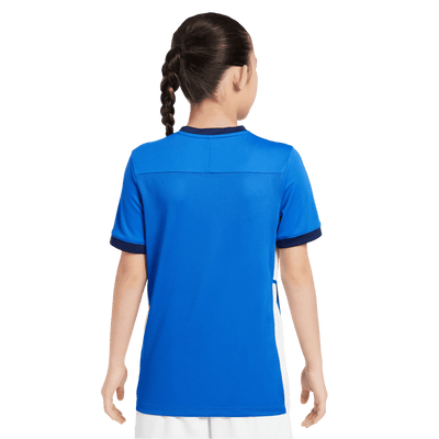 Nike Academy Dri-FIT Kids Football Top - Royal Blue