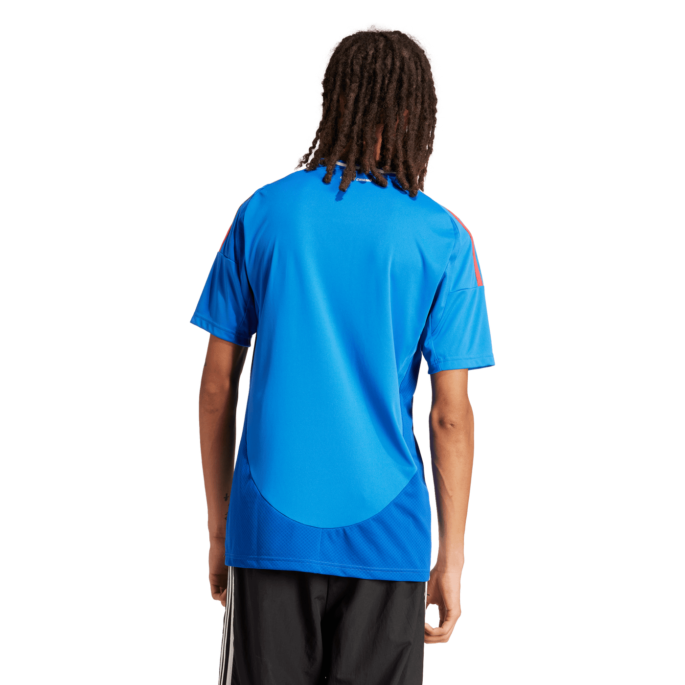 Italy National Adults Home Replica Jersey 2024