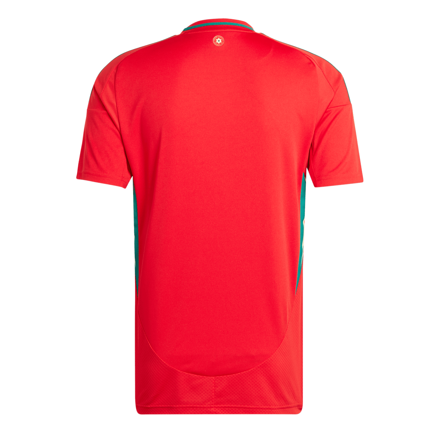 Wales National Adults Home Jersey 2024