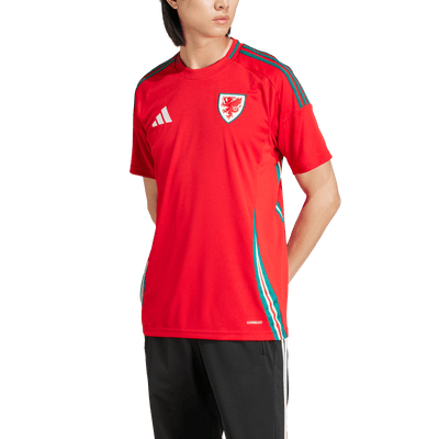 Wales National Adults Home Jersey 2024