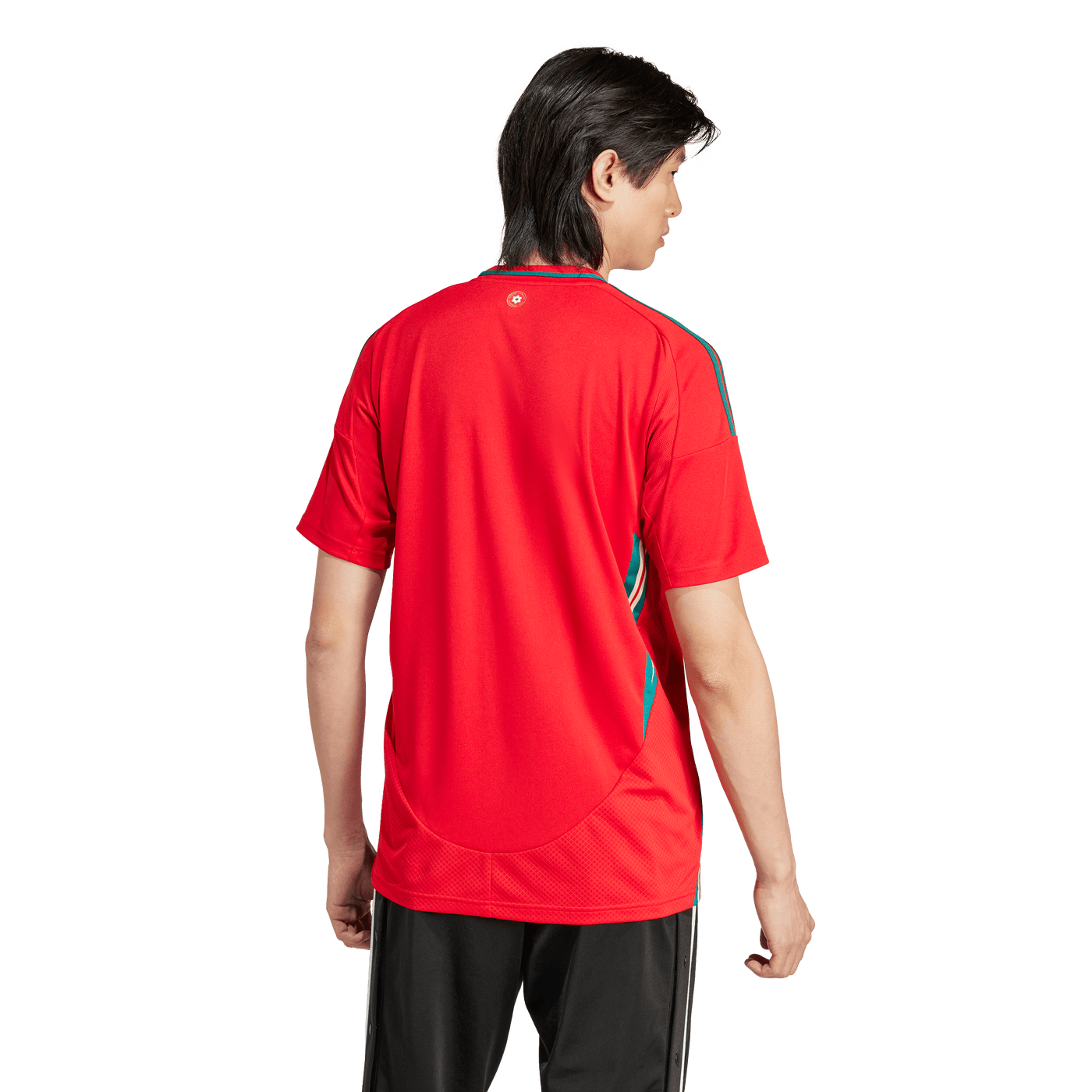 Wales National Adults Home Jersey 2024