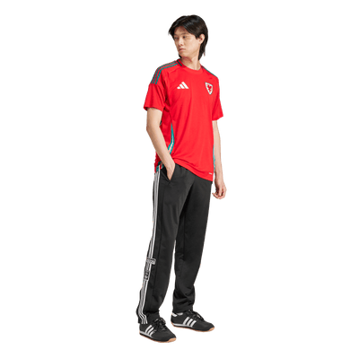 Wales National Adults Home Jersey 2024