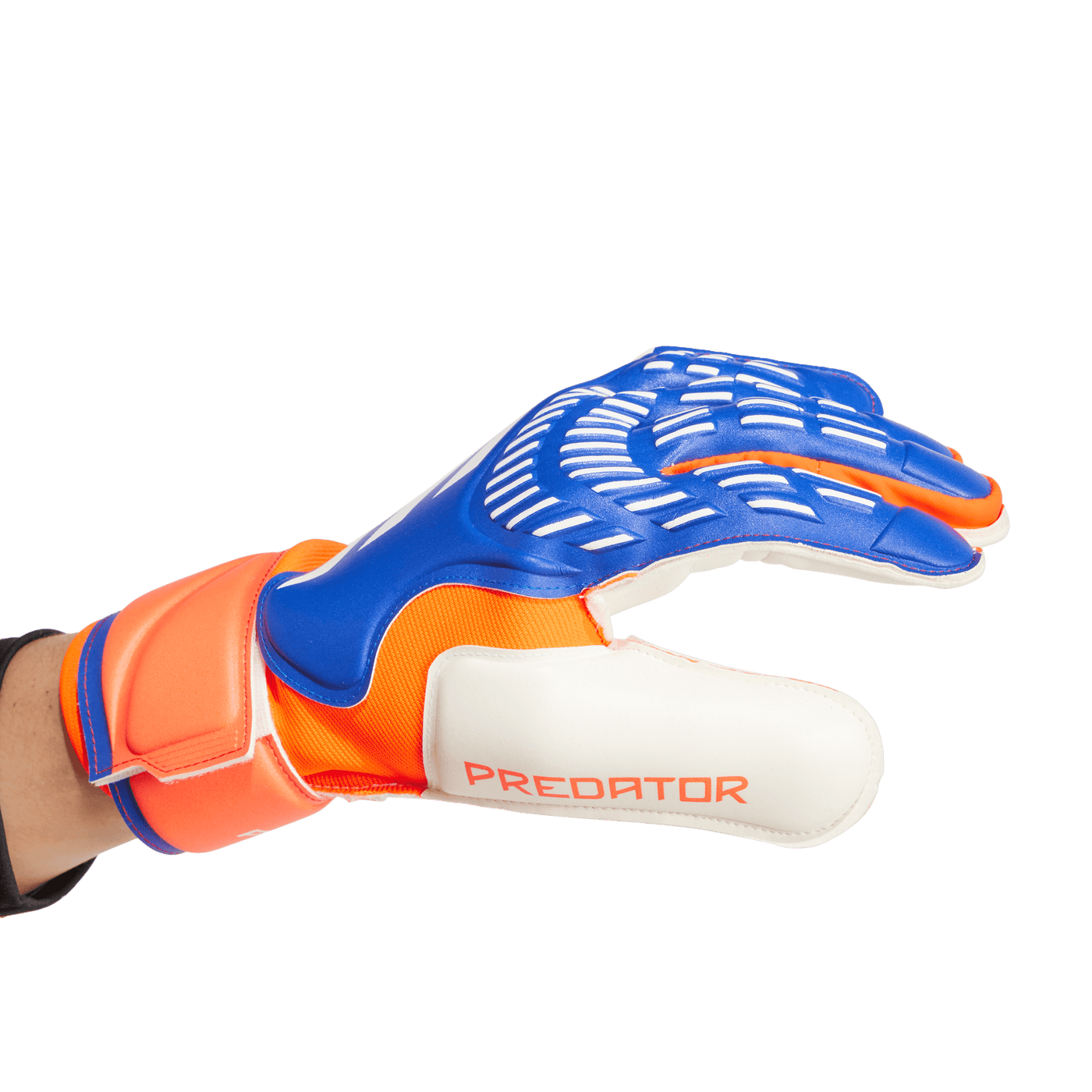 Adidas Predator Match Goalkeeper Gloves - Advancement Pack