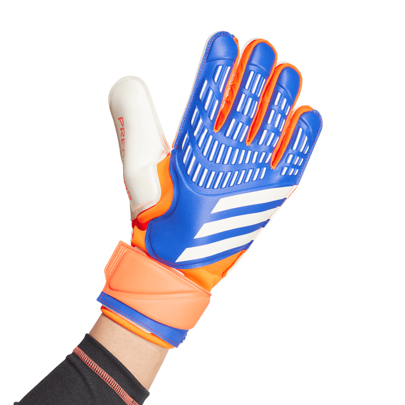 Adidas Predator Match Goalkeeper Gloves - Advancement Pack